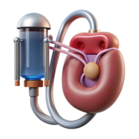 majestic nostalgic artistic Ultra-detailed, concept art style, isolated cutout biomechanical kidney with nanite filtration system and waste disposal port with Transparent Background gallery standard png