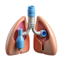 impressive exceptional Hyper-specific, concept art style, isolated cutout of a biomechanical lung with integrated filtration system with Transparent Background png