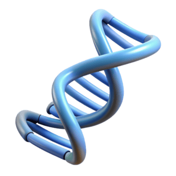hipnótico tranquilo vintage uma dna Duplo hélice espiralando para cima com transparente fundo Prêmio png