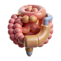 remarkable nordic Hyper-specific, concept art style, isolated cutout of a biomechanical intestine with integrated nutrient absorption system with Transparent Background professional png