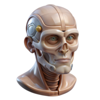 sumptuous coastal Professional render, ultra-detailed, photorealistic biomechanical head with transparent cranial casing with Transparent Background masterfully captured png