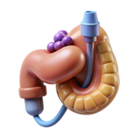 stunning coveted Hyper-specific, concept art style, isolated cutout of a biomechanical pancreas with integrated insulin production system with Transparent Background png