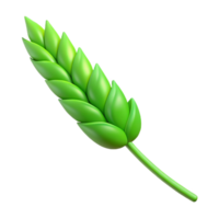 pristine tropical Green stem of wheat with Transparent Background high resolution png