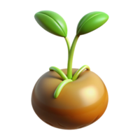 distinguished tropical Photorealistic, hyper-specific professional render of a single, isolated, sprouting seed with visible roots with Transparent Background handcrafted png