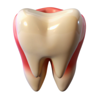 melancholic extraordinary Ultra-detailed, professional render of a single human tooth with realistic enamel and root structure Isolated cutout with Transparent Background masterfully captured png
