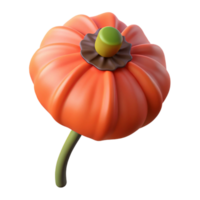 inspired bohemian Single poppy seed with Transparent Background professional png