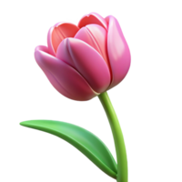 spectacular unforgettable Tulip flower with Transparent Background png