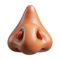 elegant passionate bohemian Photorealistic isolated cutout of a human nose with realistic details and pores with Transparent Background crisp png