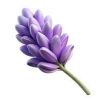 splendid notable Hyper-specific, photorealistic, isolated cutout of a single, dried lavender flower with Transparent Background png