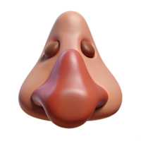 memorable tropical Photorealistic isolated cutout of a human nose with realistic details and pores with Transparent Background gallery standard png