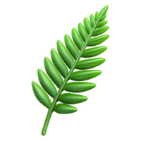 spectacular creative Isolated cutout, professional render of a single fern frond with Transparent Background 4K png
