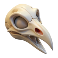 magnificent remarkable Isolated cutout of a concept art style hyper-specific bird skull, delicate bone structure, intricate details, with Transparent Background png
