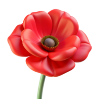 magnificent surreal Hyper-specific, isolated cutout of a single red poppy flower, blooming with Transparent Background museum quality png