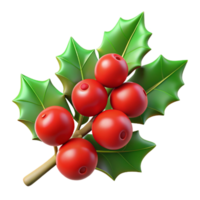 magnificent creative Branch of holly with red berries with Transparent Background luxury png