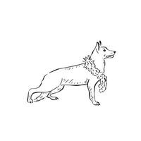 A German Shepherd dog wearing a feather boa. Black and white line drawing drawn by hand in a sketch style. vector