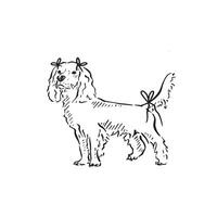 Line drawn illustration of a cocker spaniel with bows tied to ears and tail, ready for a party. Drawn by hand in a sketch style. vector
