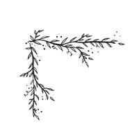 A foliage artwork. Created by hand in a black and white sketch design. Leaves and dots in a wild style. vector