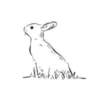 A side profile wild rabbit drawn in black and white sketch. Bunny with little ears with grass around the bottom of the picture. Line drawn by hand. vector