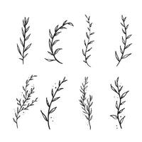 A selection of 8 individual leaf branch sprigs in black and white sketch style. vector