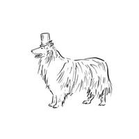 A collie dog in a top hat. Side profile dog drawn by hand in a sketch style. Line drawing. vector