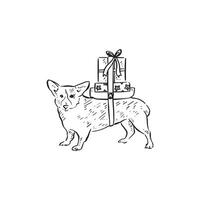 A corgi dog with presents on his back, drawn by hand in black and white. Line drawn in a sketch style. vector