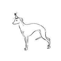 A line drawn whippet puppy dog drawn in black, vectorised and shaded. The whippet is wearing a party hat with a star on the top. vector