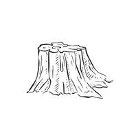A tree stump drawn in black line art in a sketch style. Wooden element of the forest, deforestation. Sketch , woodland, animal habitat. vector
