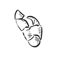 A crab claw drawn by hand in black and white. A simple sketch style doodle with shading. vector