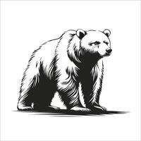 Polar Bear Walking in Snow vector