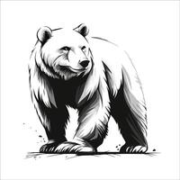 Polar Bear Standing in Profile vector