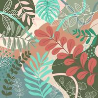 Frame flower Spring background with beautiful vector