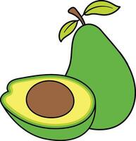 Avocado illustration with pit and whole fruit with leaves vector