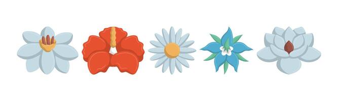 A collection of five digitally rendered floral illustrations. Each flower presents a unique shape and color scheme, set against a clean, white backdrop. vector