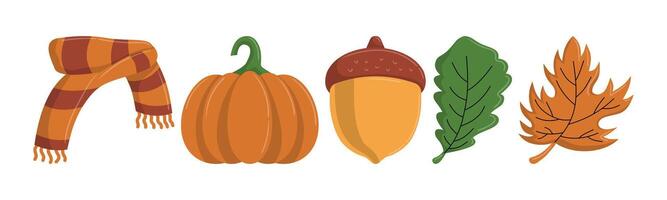 A colorful and cheerful illustration showcasing autumn. Features scarf, pumpkin, acorn and leaves isolated on a white background. vector
