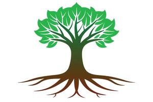 Tree with Roots, Green Leaves, Trunk vector
