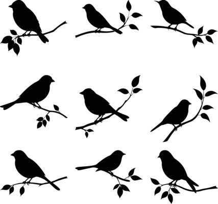 Silhouette of Nine Bird Drawings Perched on Branches