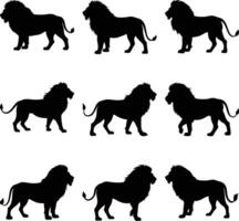 Lion Silhouette Set, Walking Pose Isolated on White, Wildlife, , Mammal, Lion Head vector