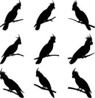 Sulphur Crested Cockatoo Bird Silhouettes on Branch Pattern Isolated on White vector