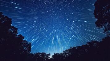 A star trail photograph capturing the movement of stars in a night sky over trees. photo