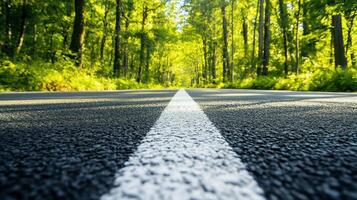 A serene road lined by lush trees, inviting exploration through nature photo