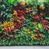 A vibrant vertical garden featuring a variety of colorful plants and foliage photo