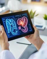 A person holding a tablet displaying a digital image of human organs for medical analysis photo