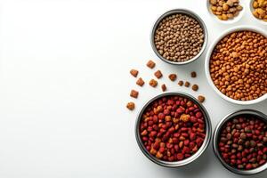 A variety of pet food in bowls, showcasing different textures and colors photo