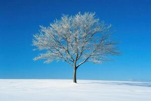 A solitary tree covered in snow against a clear blue sky, symbolizing winter's beauty. photo