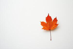 A vibrant orange maple leaf on a white background, symbolizing autumn's beauty. photo
