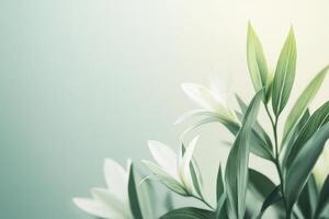 A serene arrangement of white flowers and green leaves against a soft gradient background photo