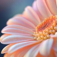 A close-up of a soft peach-colored flower with delicate petals and a textured center photo