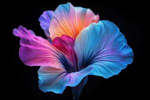 A vibrant, digitally rendered flower with a blend of colors against a dark background. photo