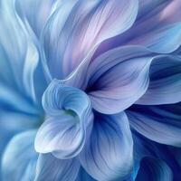 A close-up of soft, flowing blue petals with delicate textures and gradients photo