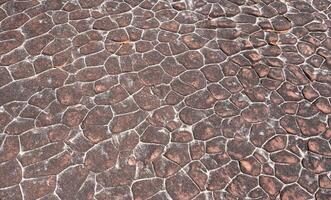 In geology, a crack formed in a rock by exposure to the sun's heat at the time the rock was consolidating. photo